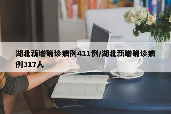 湖北新增确诊病例411例/湖北新增确诊病例317人